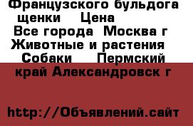 Французского бульдога щенки  › Цена ­ 35 000 - Все города, Москва г. Животные и растения » Собаки   . Пермский край,Александровск г.